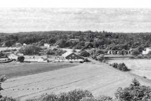 Bilde av Freberg sett fra Dronninga